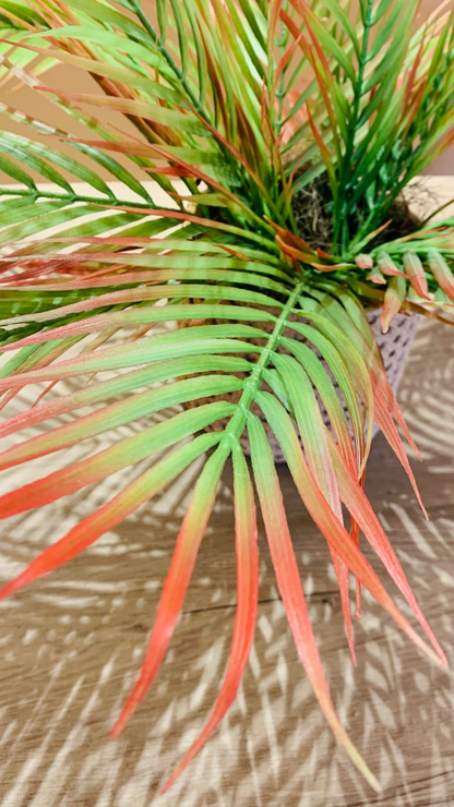 Cachepot Palmeira Verde Outono
