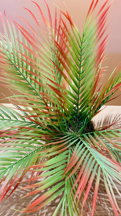 Cachepot Palmeira Verde Outono