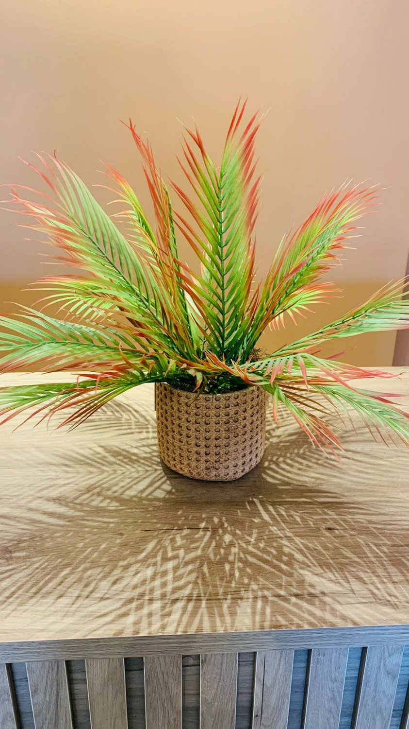 Cachepot Palmeira Verde Outono