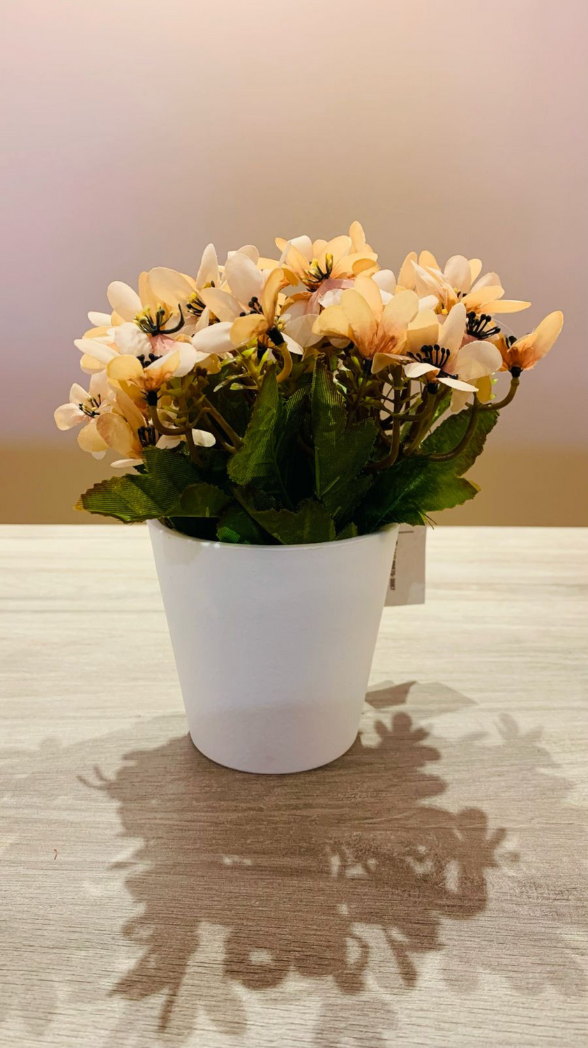 Vaso Buquê Margarida