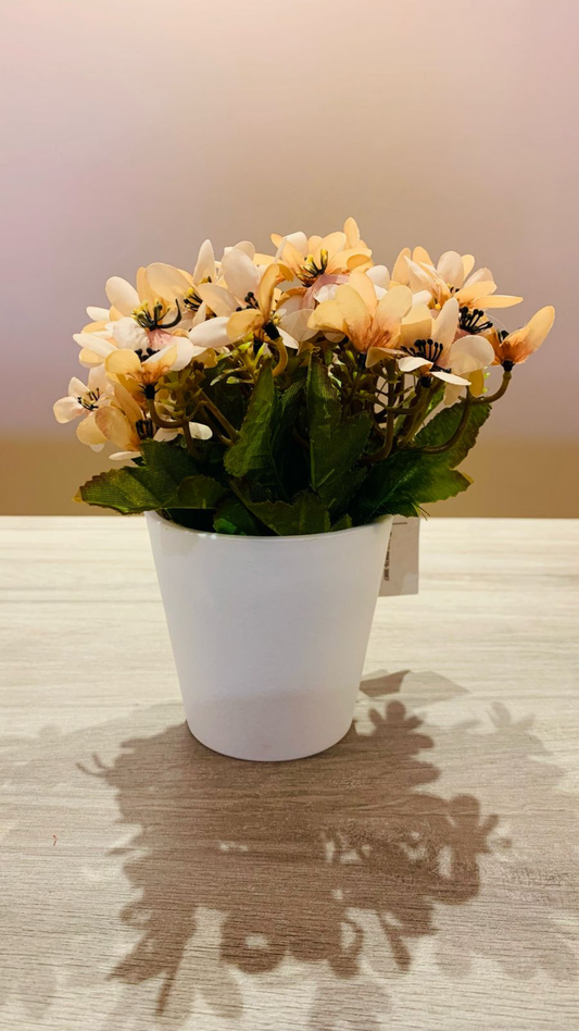 Vaso Buquê Margarida