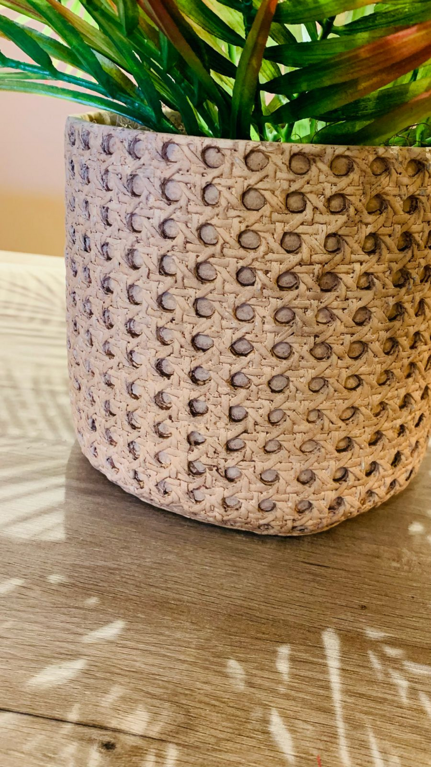 Cachepot Palmeira Verde Outono