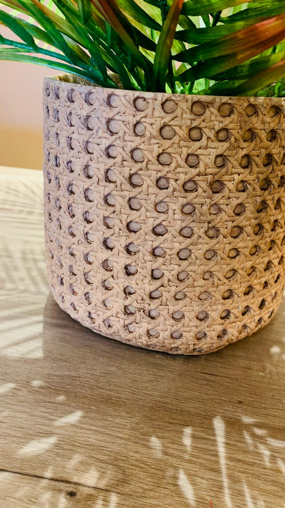 Cachepot Palmeira Verde Outono