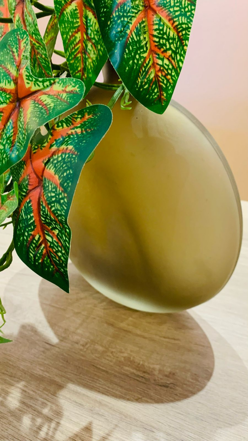 Vaso Pendente Caladium