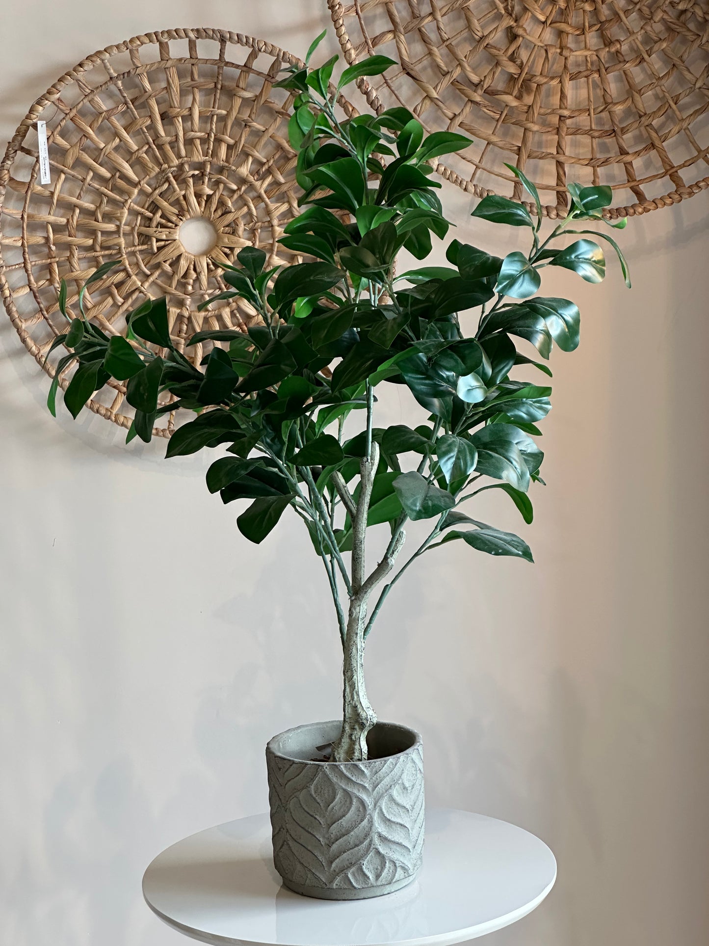 Cachepot Clusia Verde Real