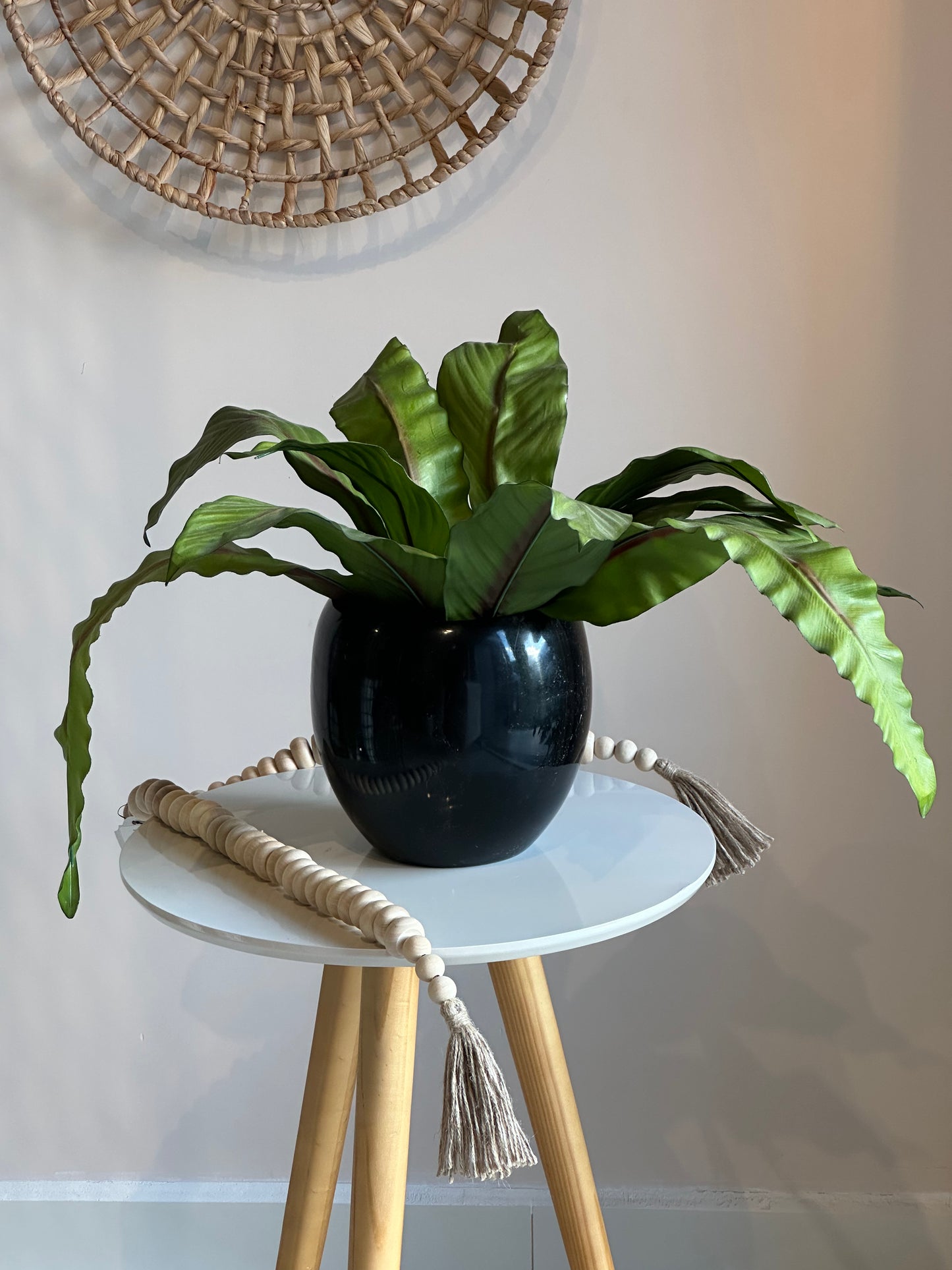 Vaso Coral Palmeira Verde