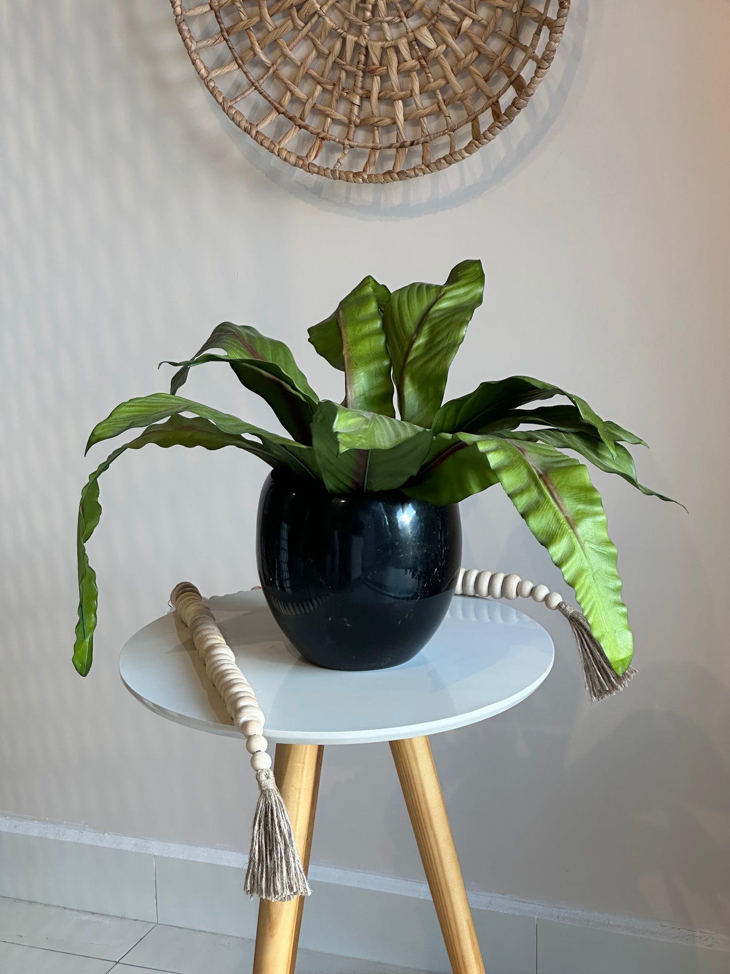 Vaso Coral Palmeira Verde