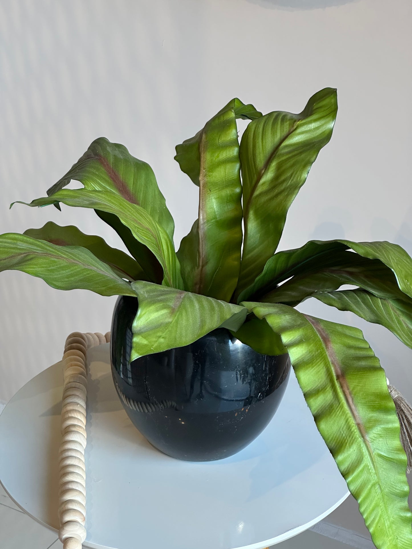 Vaso Coral Palmeira Verde